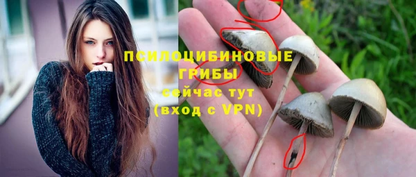ALPHA-PVP Алексеевка